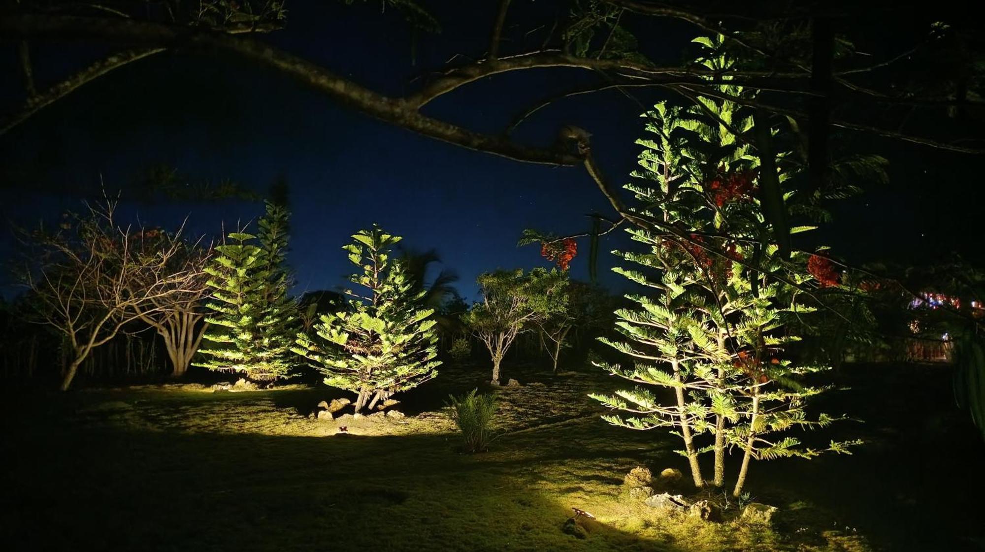 Eco & Macao Bavaro Punta Cana