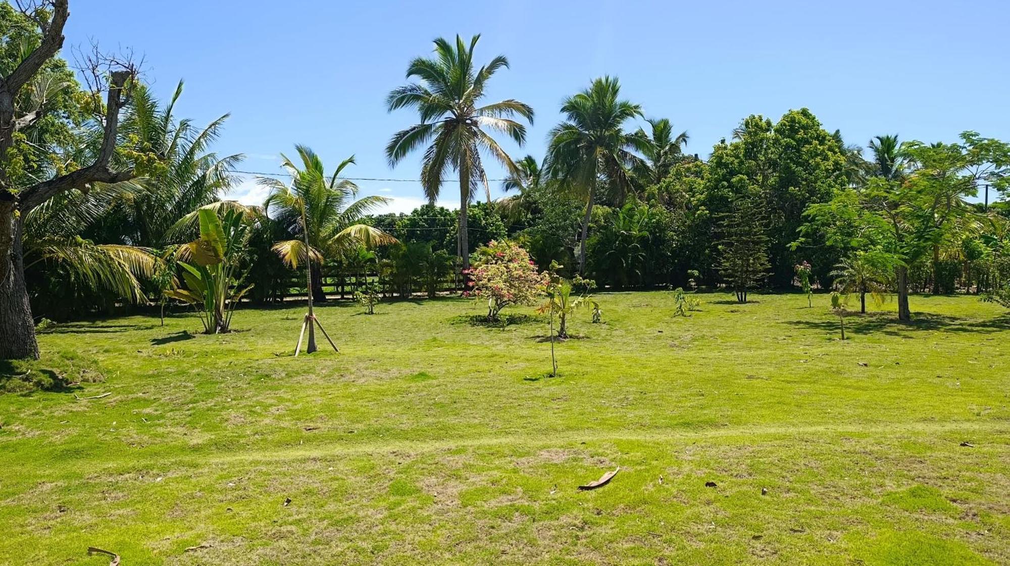Eco & Macao Bavaro Lodge *