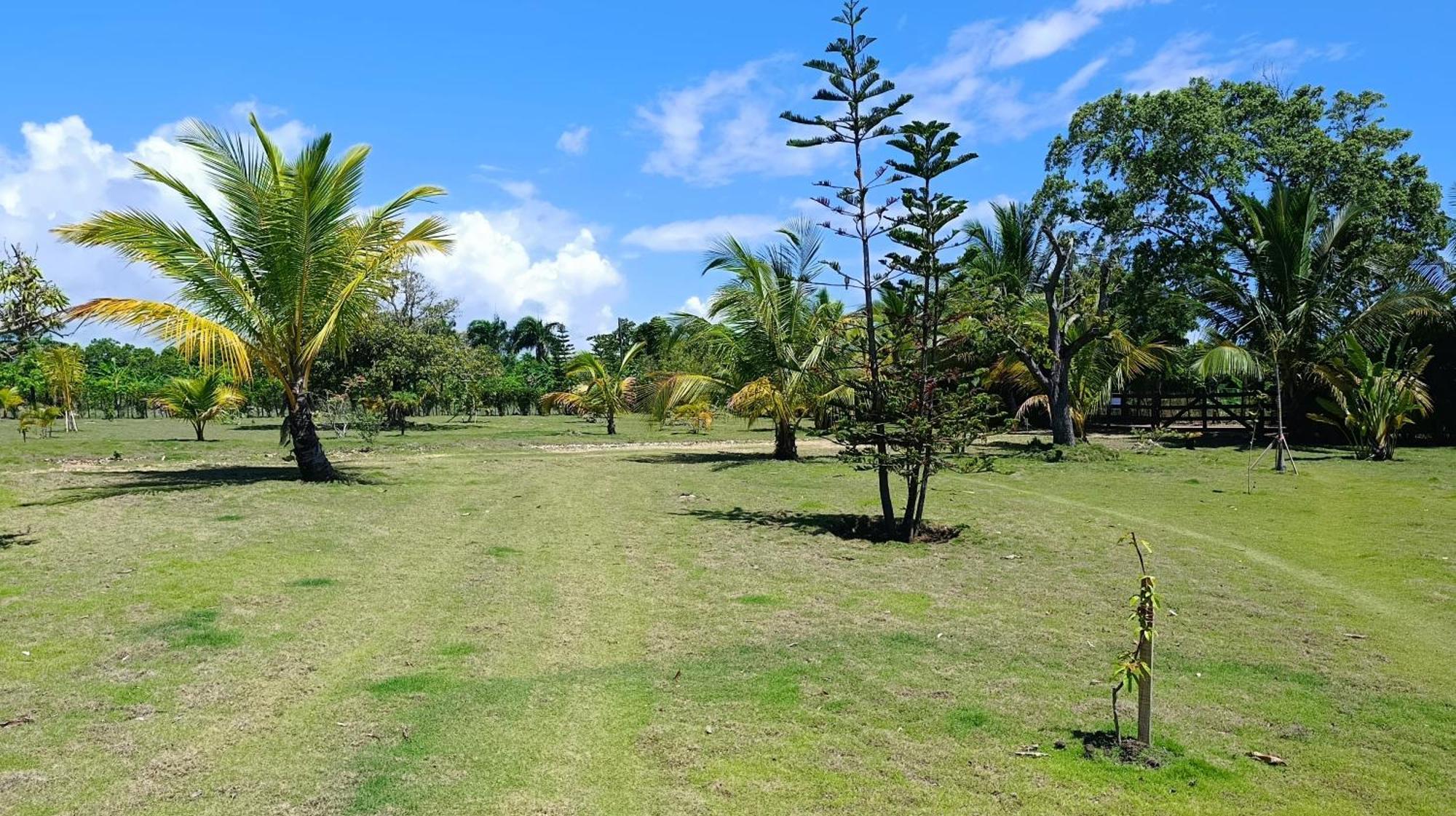 Eco & Macao Bavaro