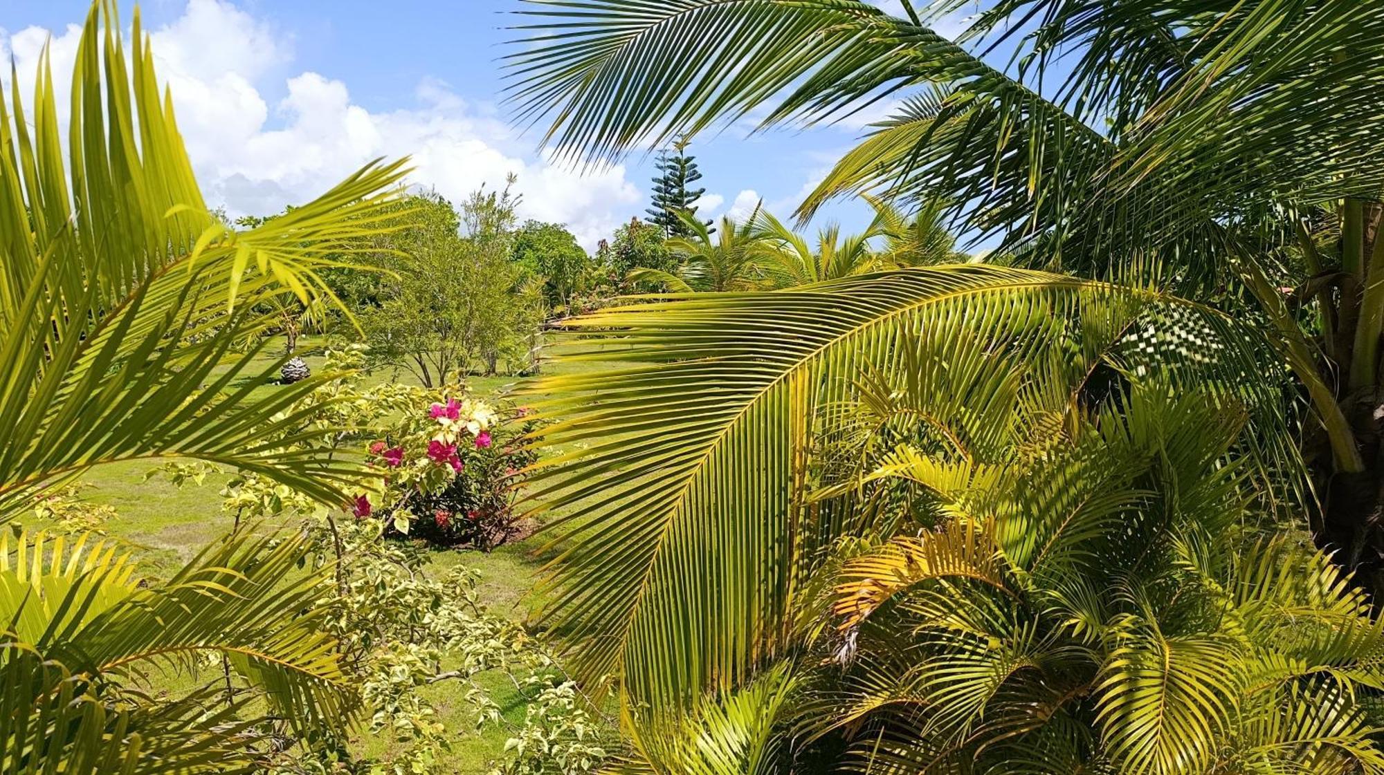 Lodge Eco & Macao Bavaro
