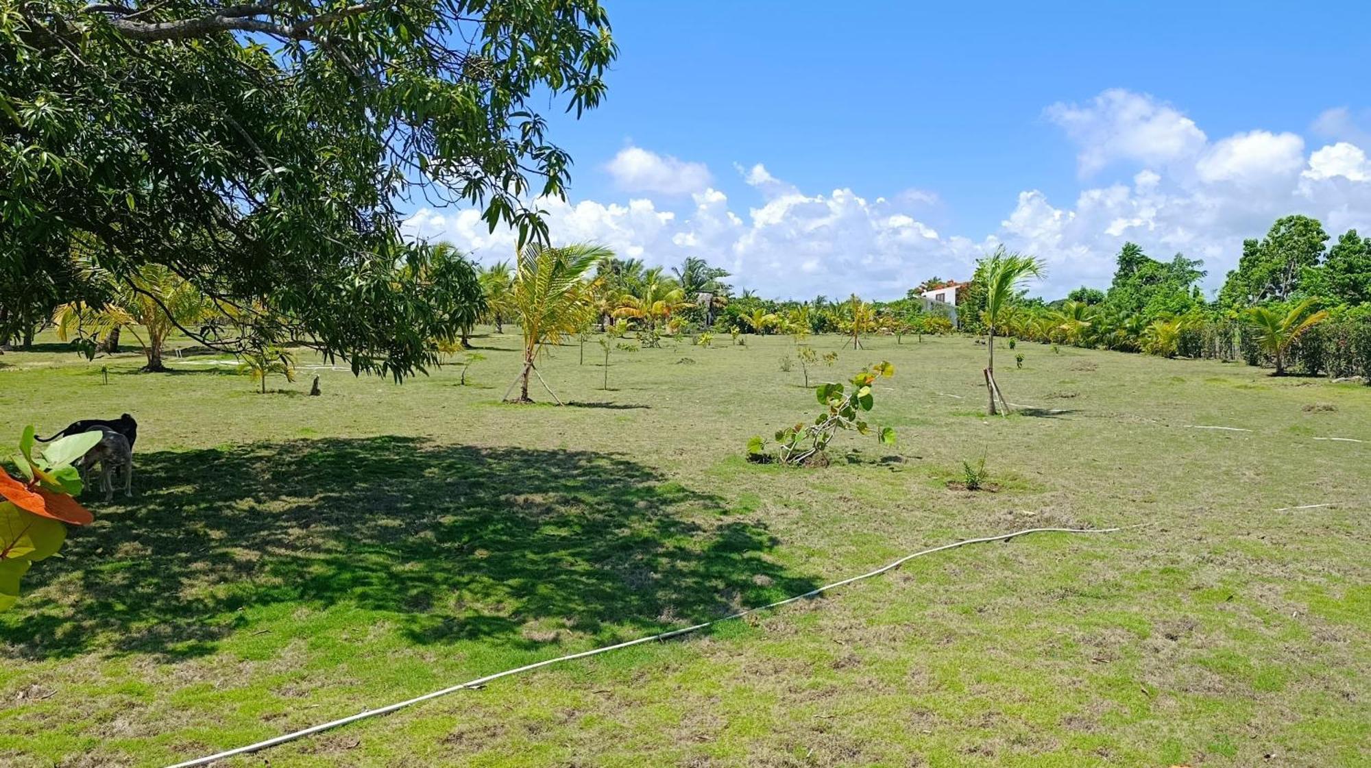 Eco & Macao Bavaro Punta Cana