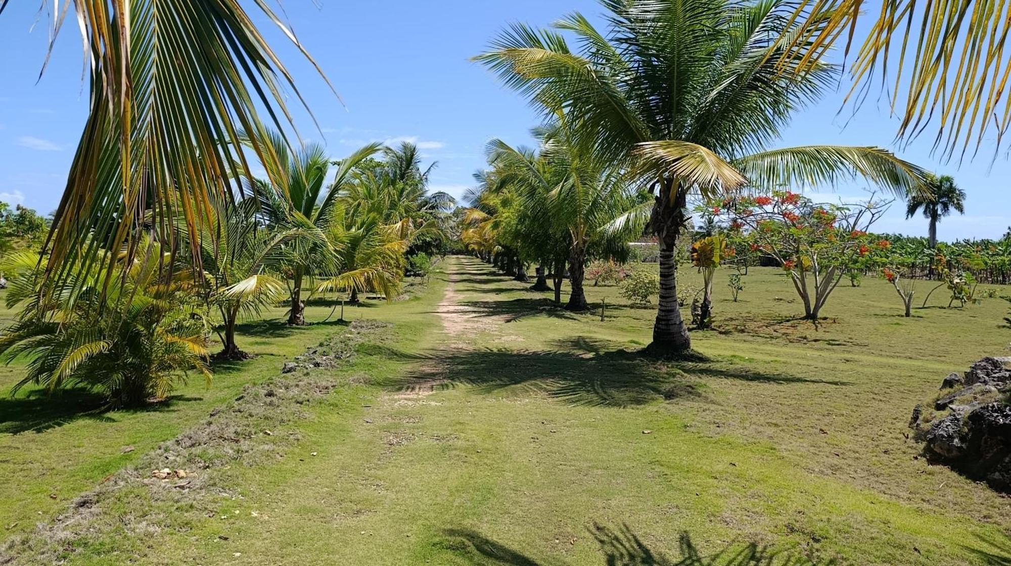 Eco & Macao Bavaro