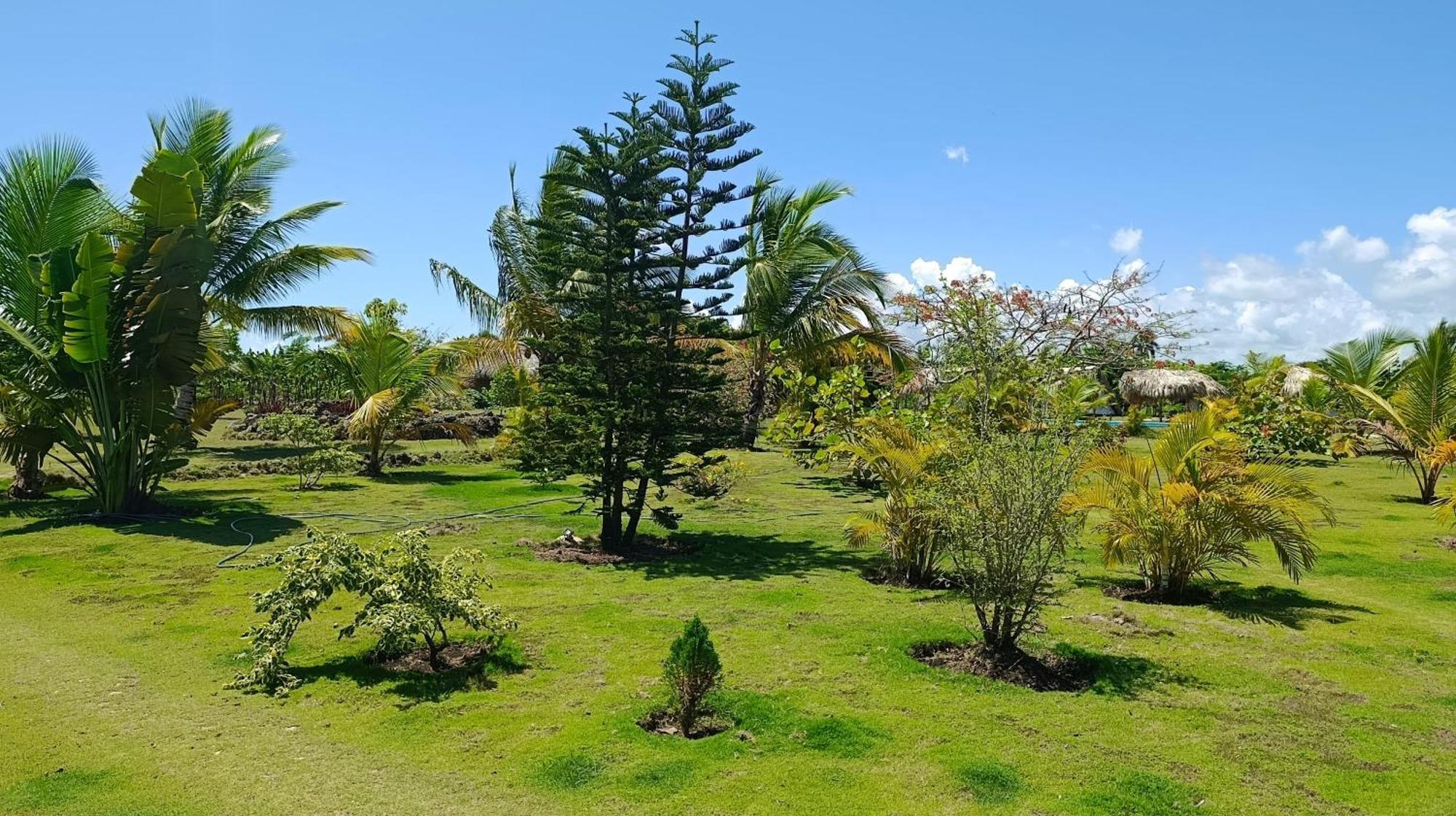 Eco & Macao Bavaro Lodge