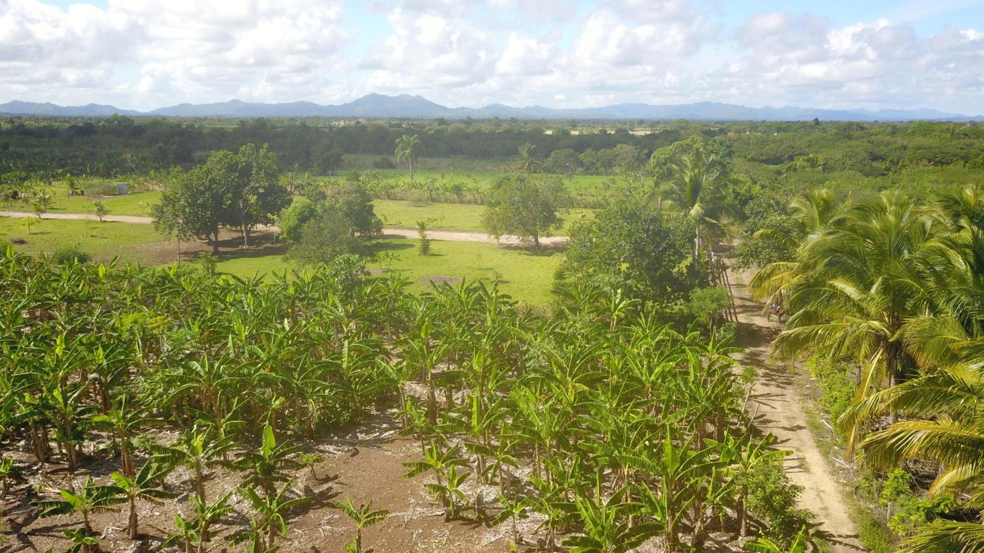 Eco & Macao Bavaro *