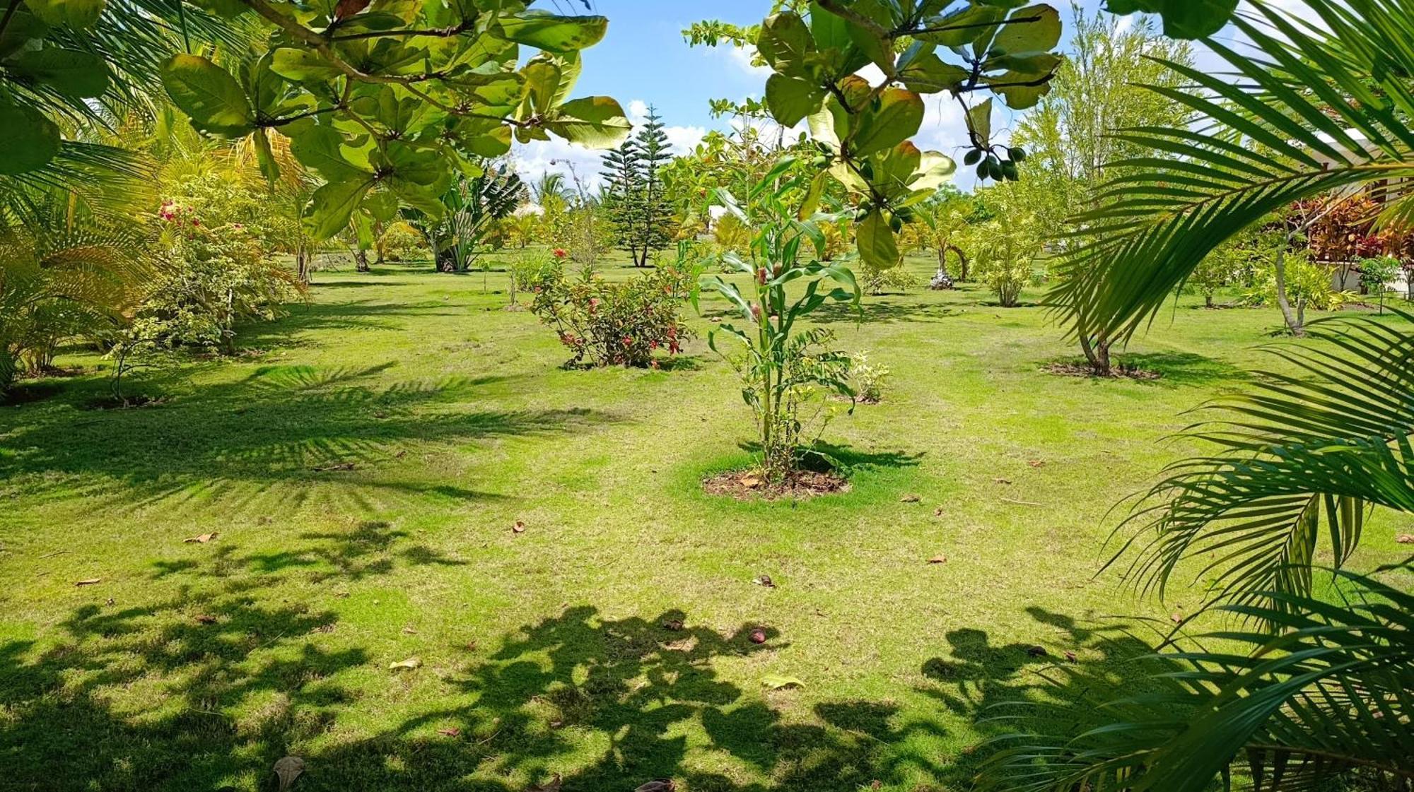 Eco & Macao Bavaro Punta Cana
