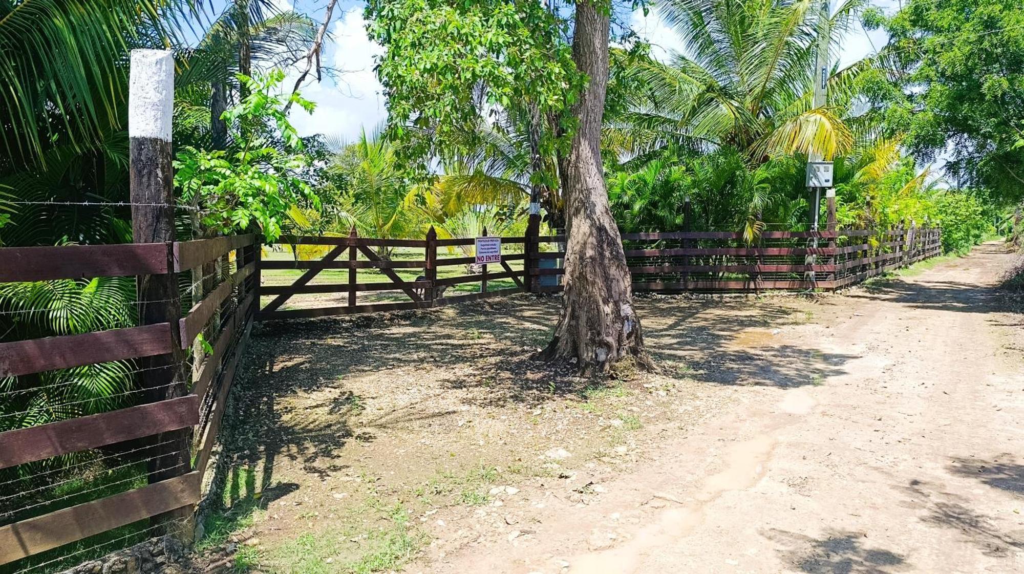 Eco & Macao Bavaro *