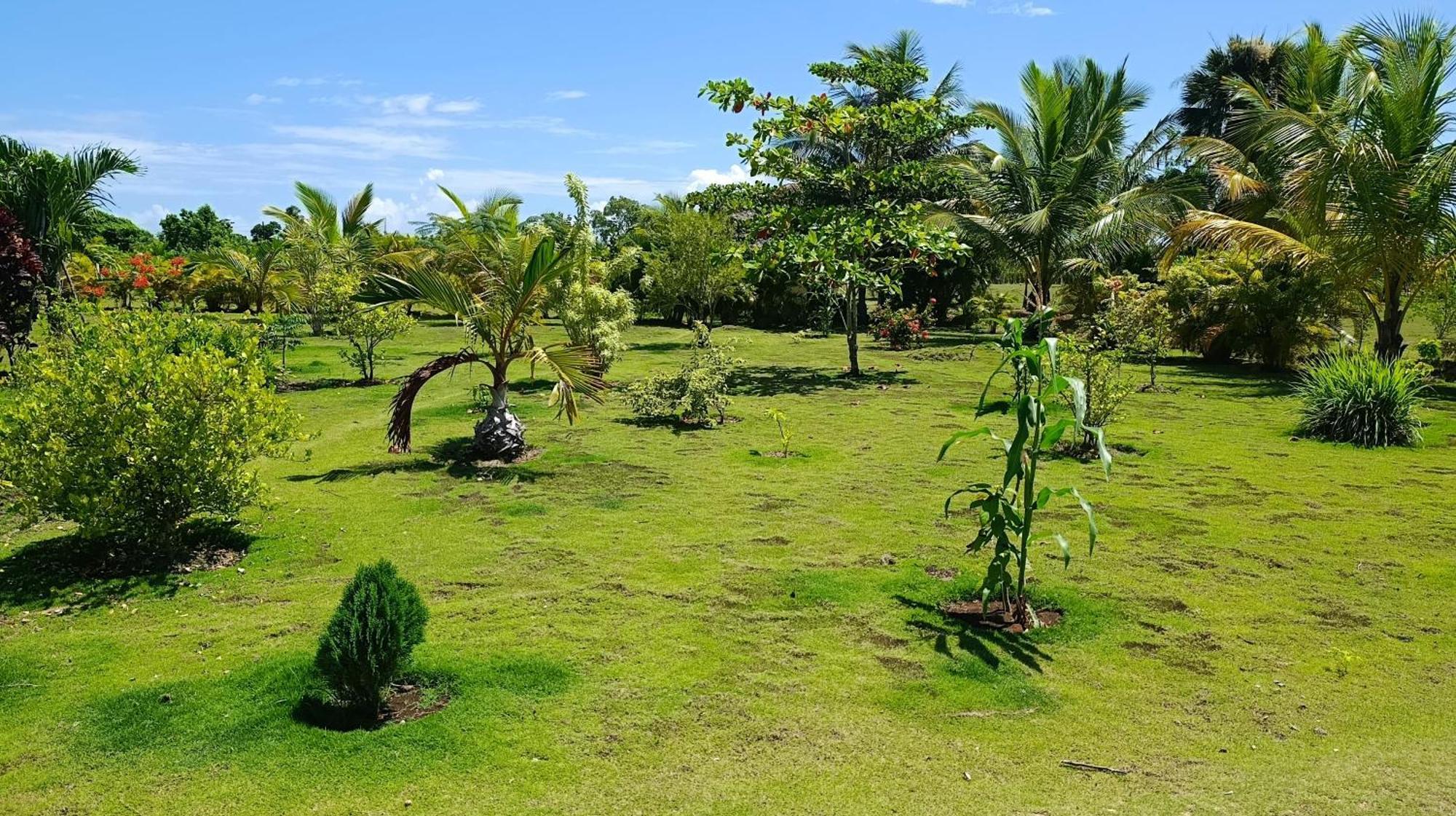 Eco & Macao Bavaro