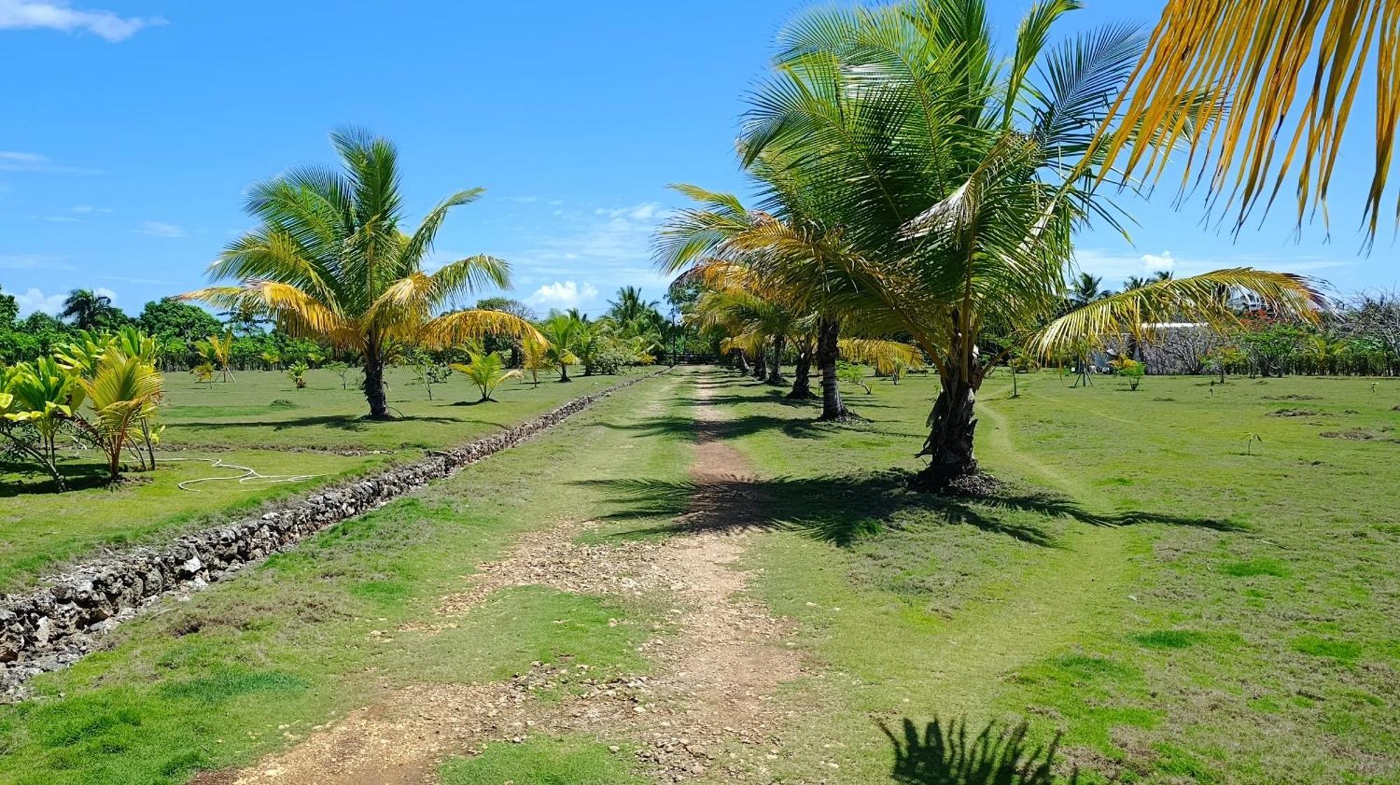 Eco & Macao Bavaro Lodge Punta Cana