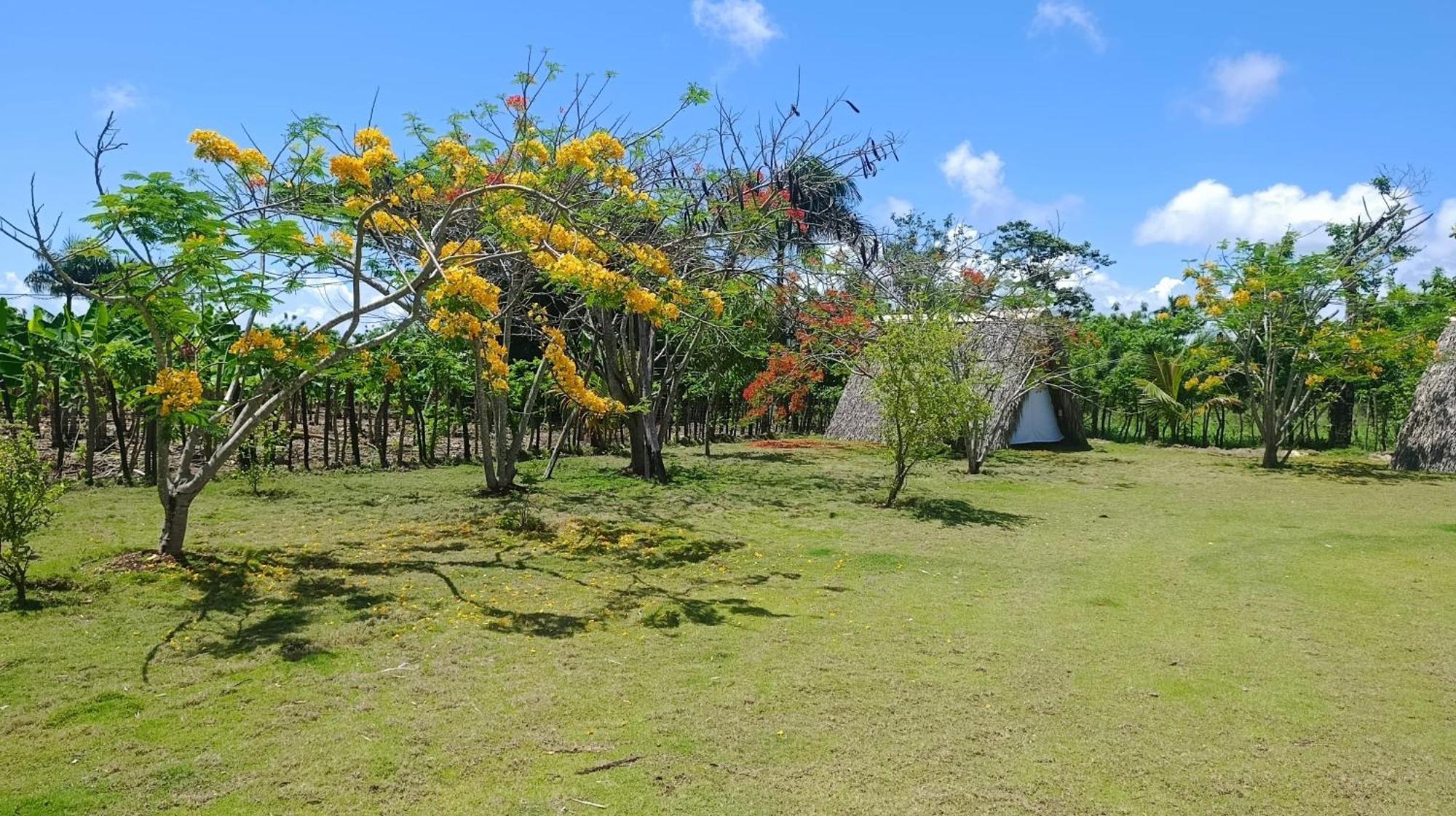 Lodge Eco & Macao Bavaro *