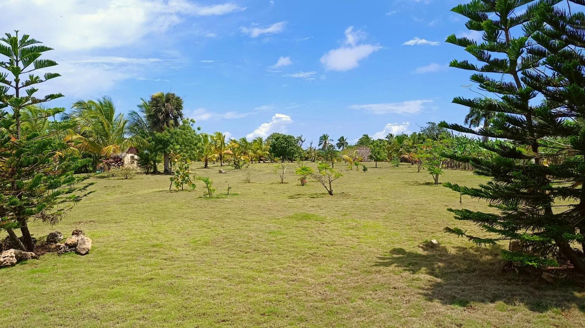 Eco & Macao Bavaro Punta Cana