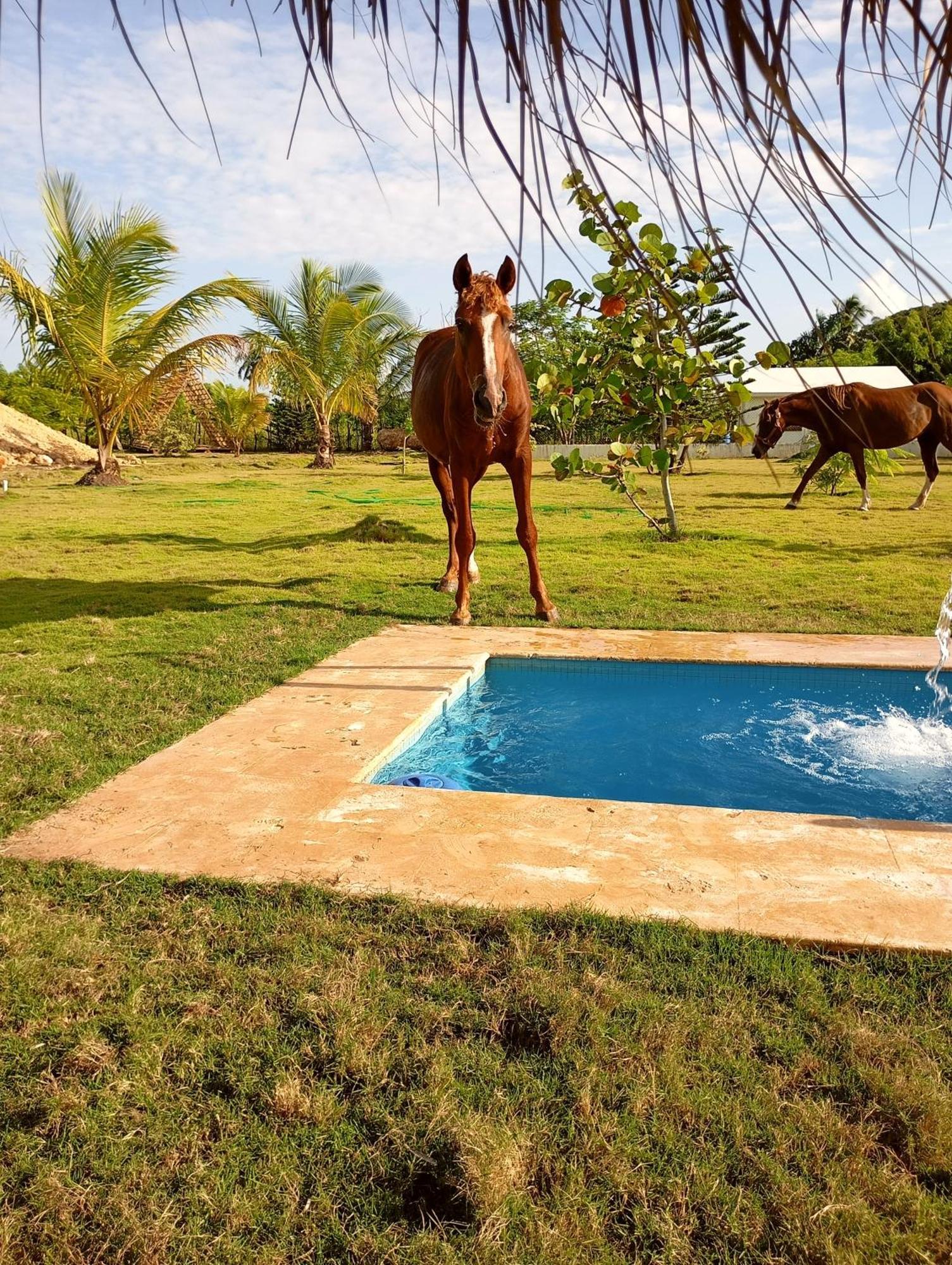 Eco & Macao Bavaro