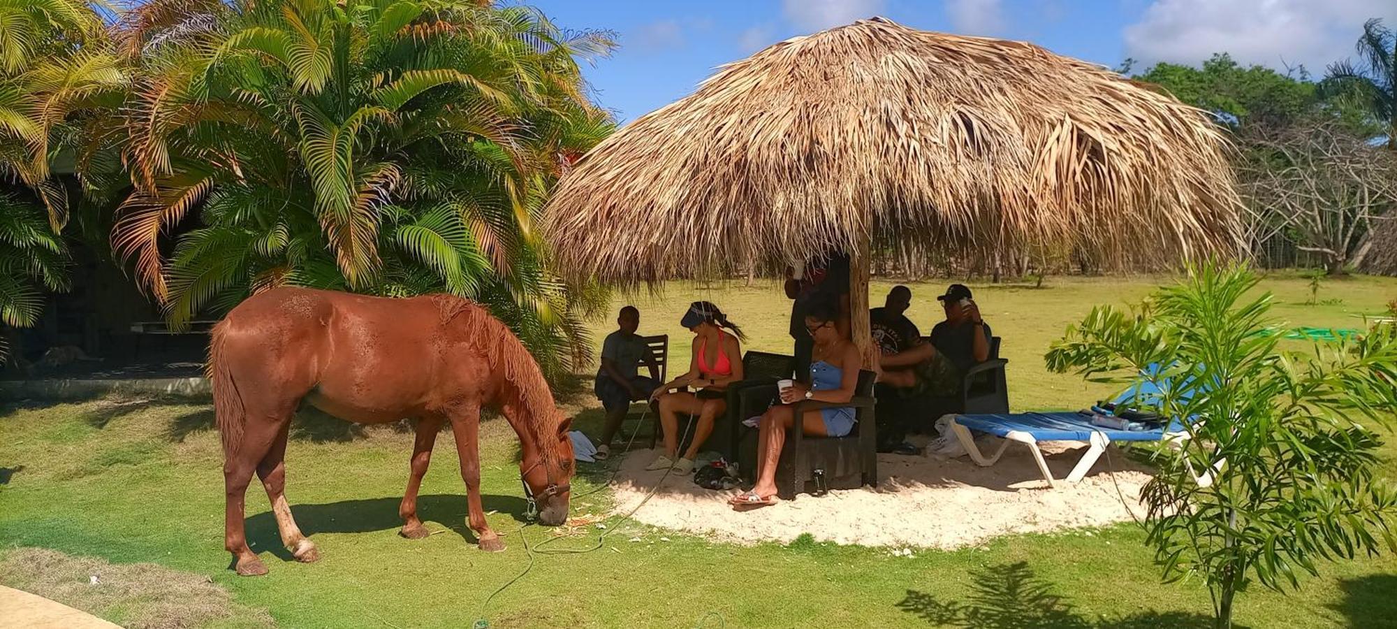 Eco & Macao Bavaro *